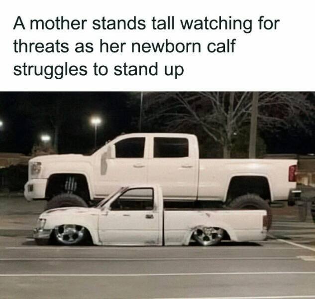 Driving Memes (19 pics)