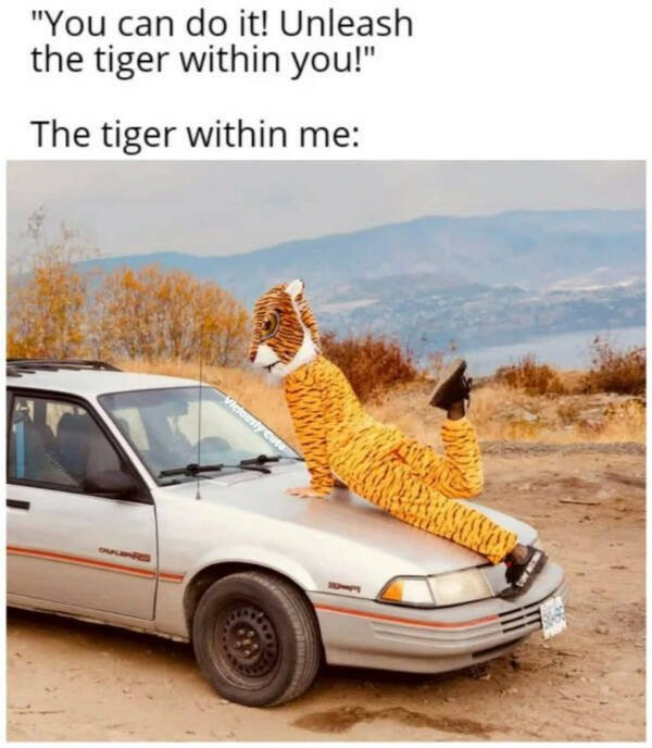Funny Memes (21 pics)