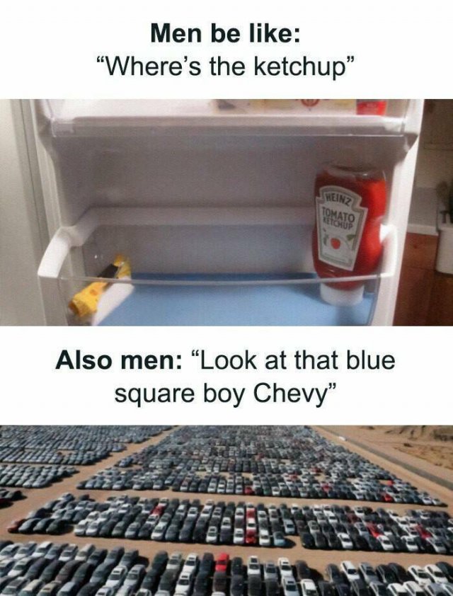 Driving Memes (19 pics)