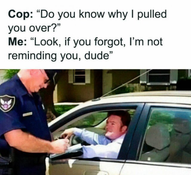 Driving Memes (19 pics)