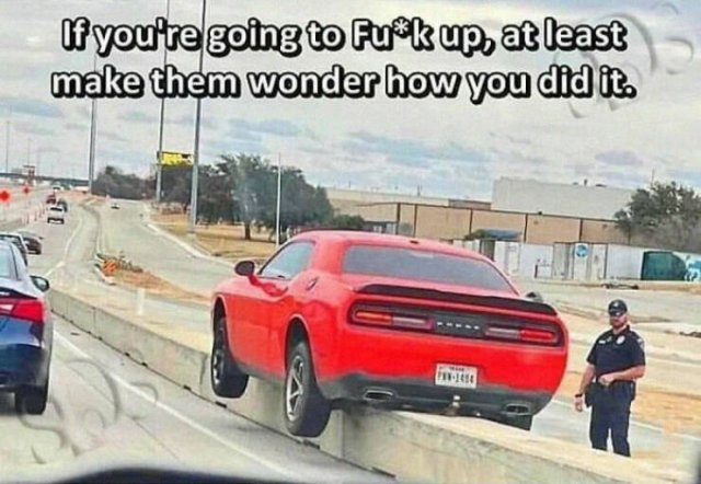 Driving Memes (19 pics)