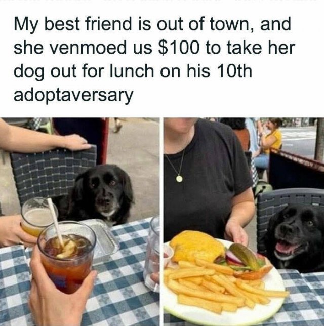 Jokes With Dogs (15 pics)