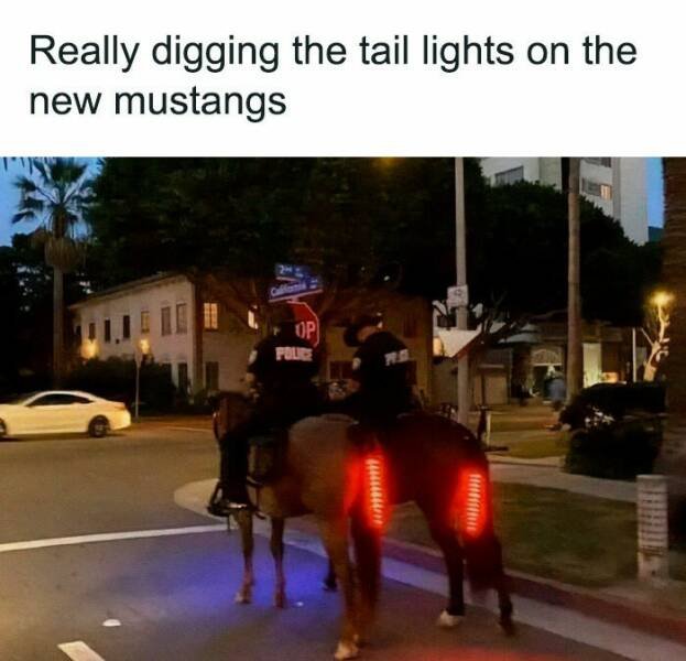 Driving Memes (19 pics)