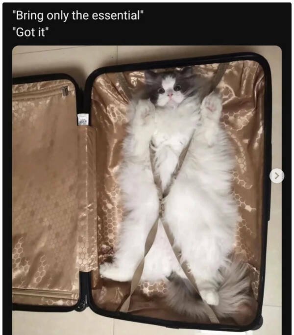 Funny Memes (21 pics)