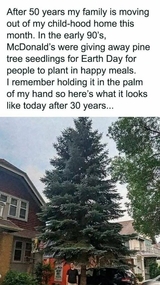 Memes For Millennials (27 pics)