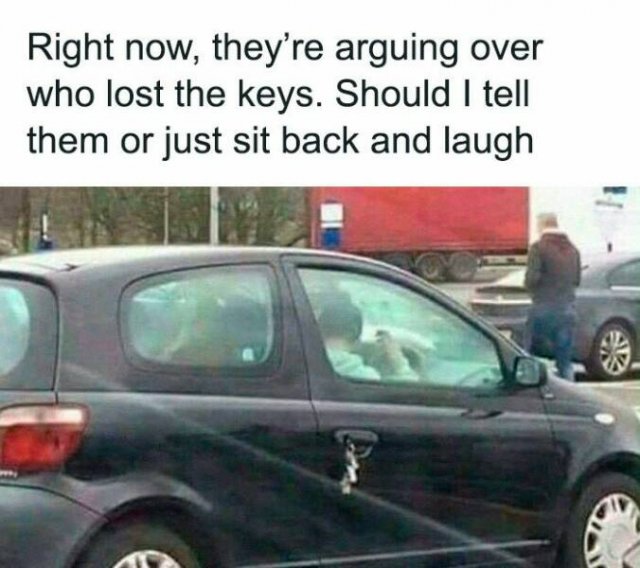 Driving Memes (19 pics)