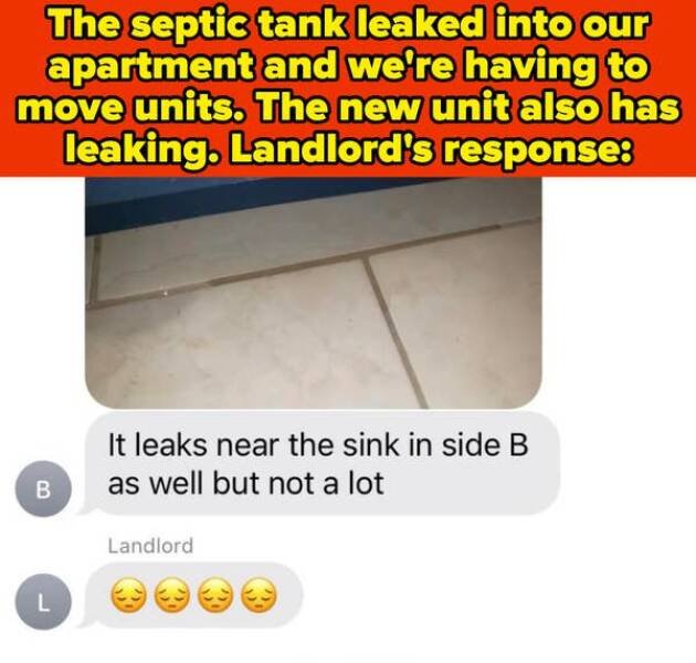 Terrible Landlords (21 pics)
