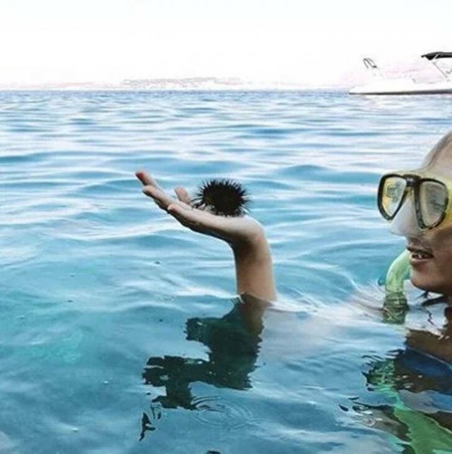 Optical Illusions (16 pics)