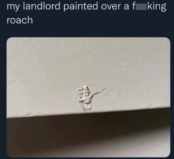 Terrible Landlords (21 pics)