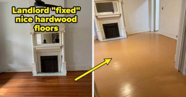 Terrible Landlords (21 pics)