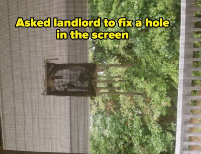 Terrible Landlords (21 pics)