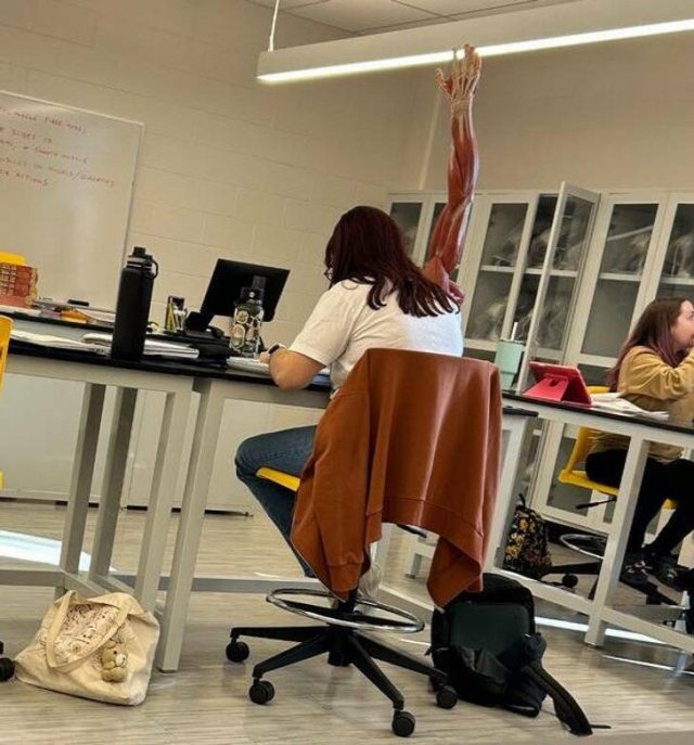 Optical Illusions (16 pics)