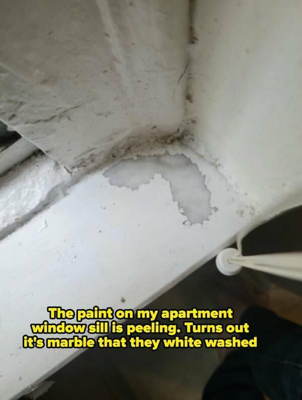 Terrible Landlords (21 pics)