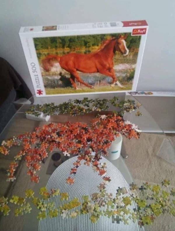 Funny Photos And Situations (21 pics)