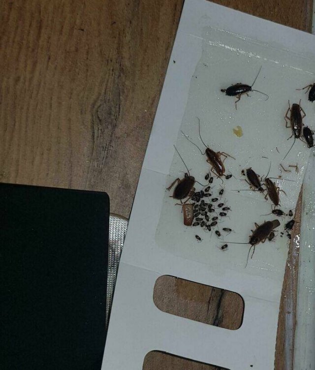 Awful Bosses (20 pics)