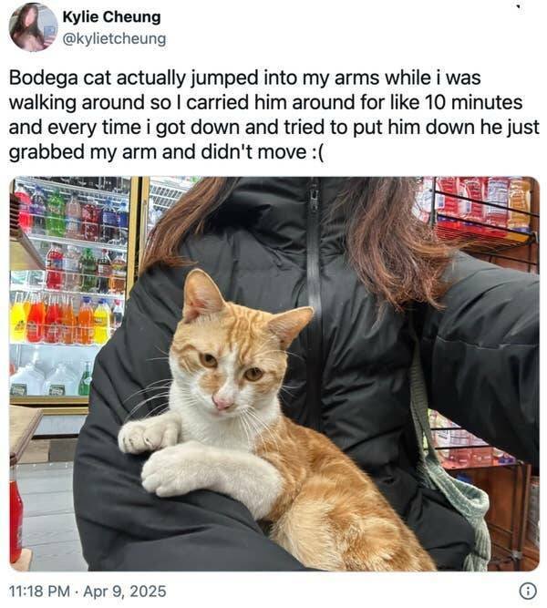 Positive Posts For Good Mood (22 pics)