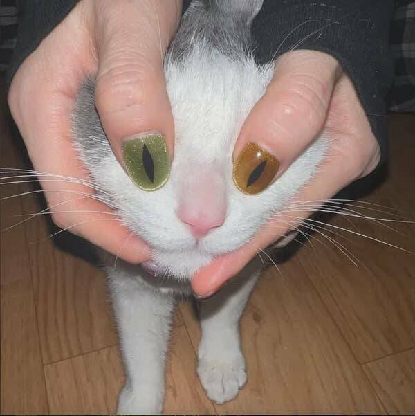 Funny Photos And Situations (21 pics)