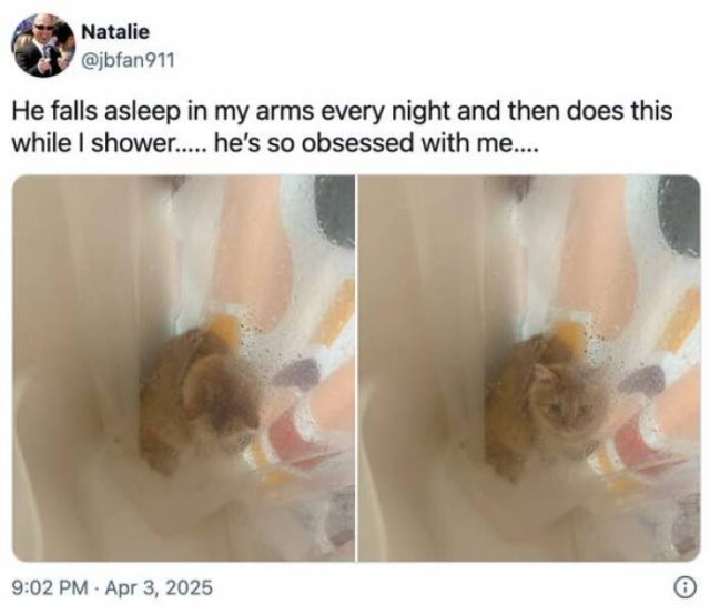 Positive Posts For Good Mood (22 pics)