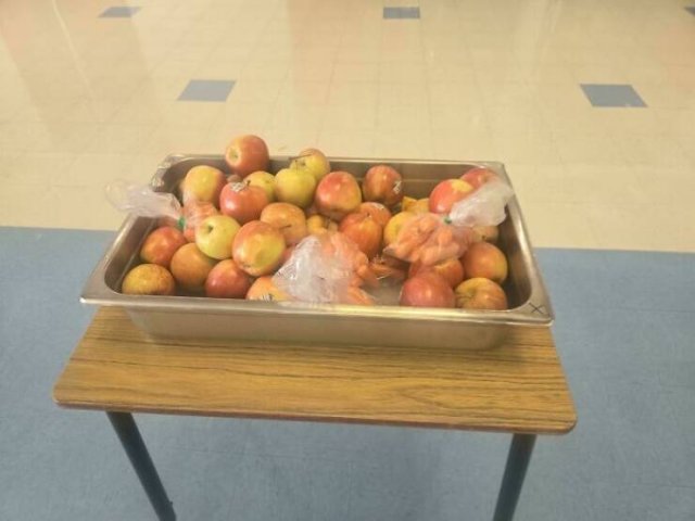 Interesting Things From American Schools (25 pics)