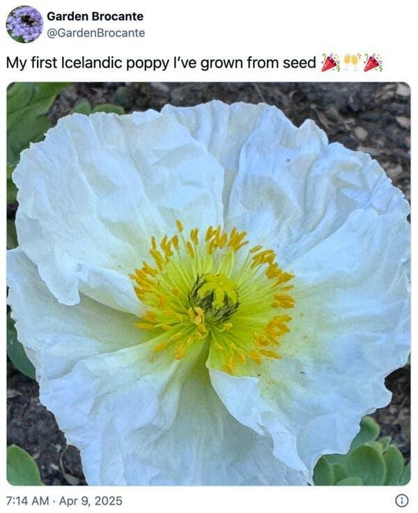 Positive Posts For Good Mood (22 pics)