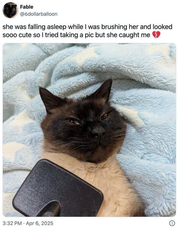 Positive Posts For Good Mood (22 pics)