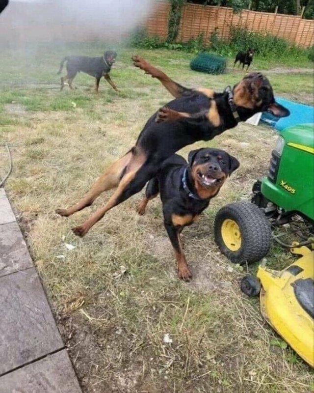 What Is Going On Here? (23 pics)