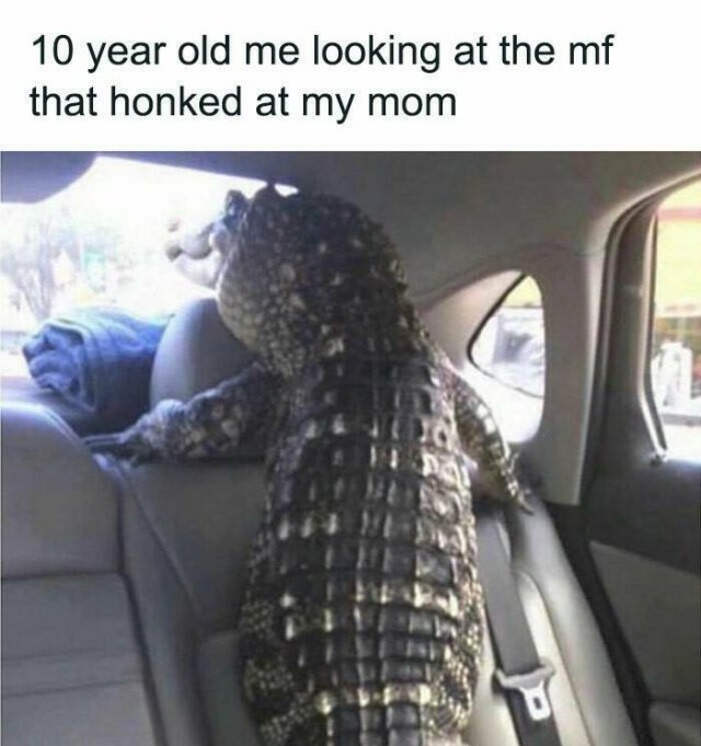 Male Humor (24 pics)