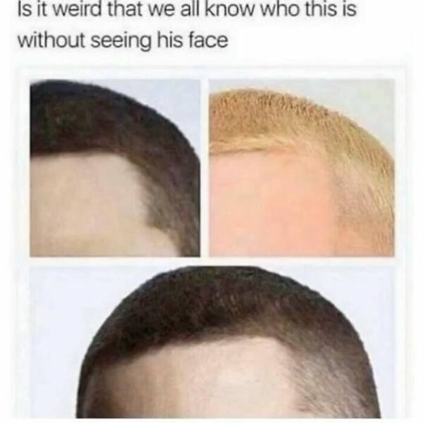 Male Humor (24 pics)
