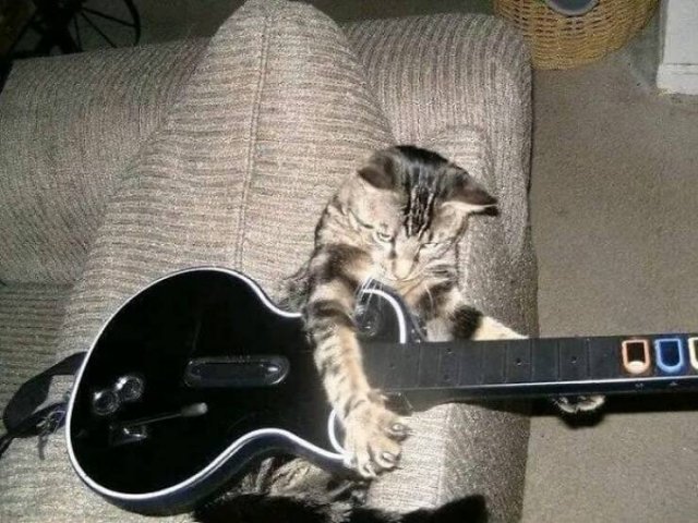 What Is Going On Here? (23 pics)