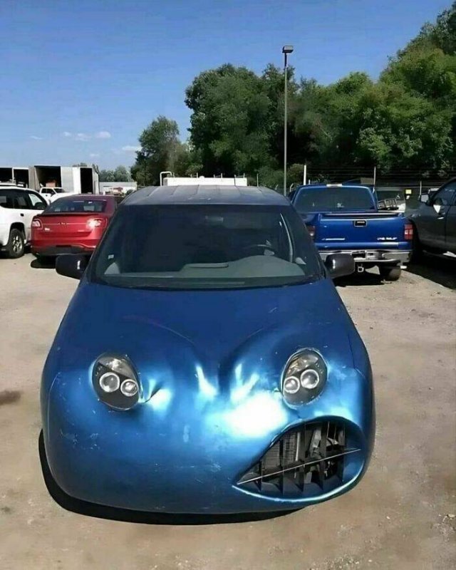 What Is Going On Here? (23 pics)