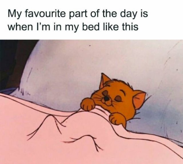 Funny Memes (22 pics)
