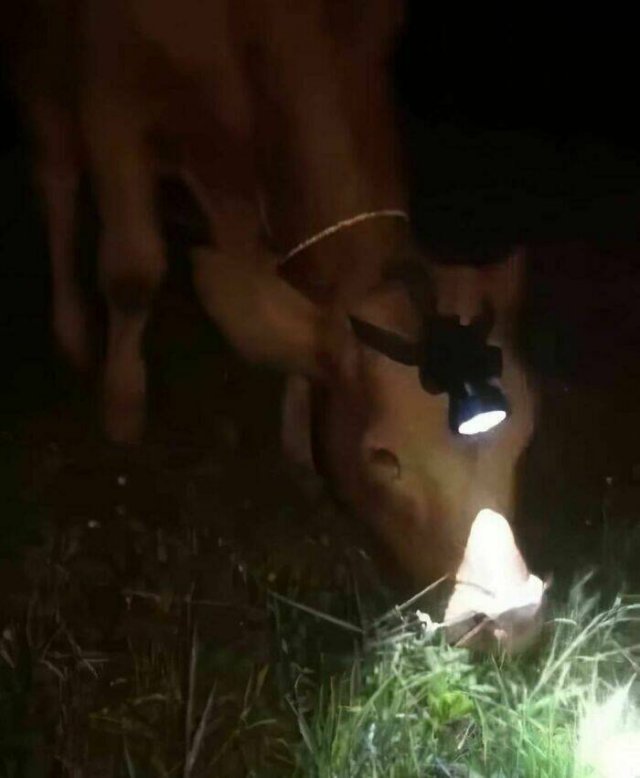 What Is Going On Here? (23 pics)
