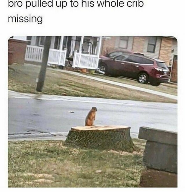 Male Humor (24 pics)