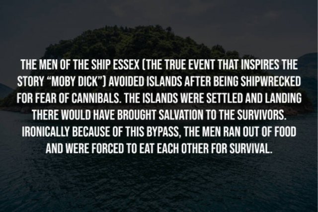 Creepy Facts (14 pics)