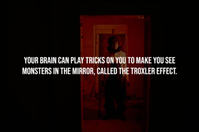 Creepy Facts (14 pics)