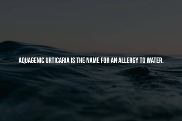 Creepy Facts (14 pics)