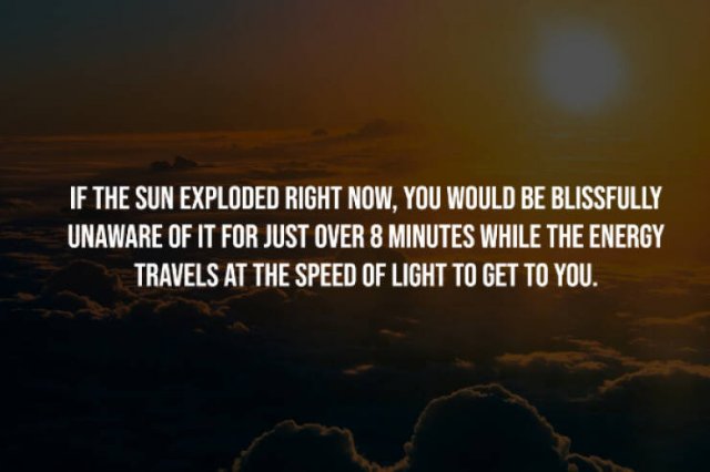 Creepy Facts (14 pics)