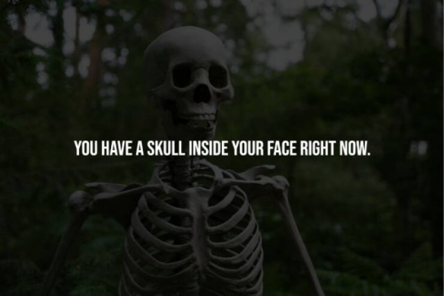 Creepy Facts (14 pics)
