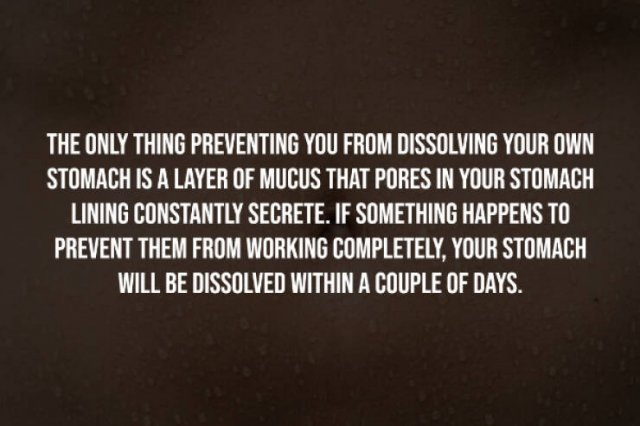 Creepy Facts (14 pics)