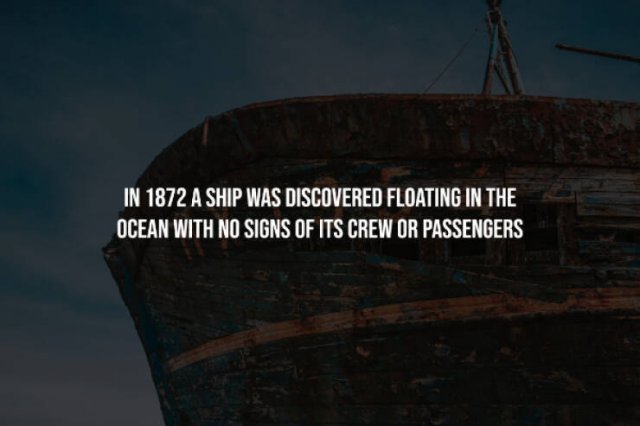 Creepy Facts (14 pics)