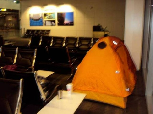 What Is Going On Here? (13 pics)