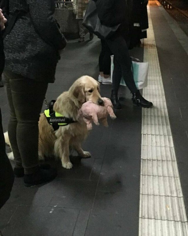 Heartwarming Moments (24 pics)