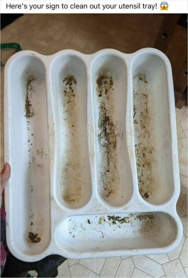 Failed Cooking (22 pics)