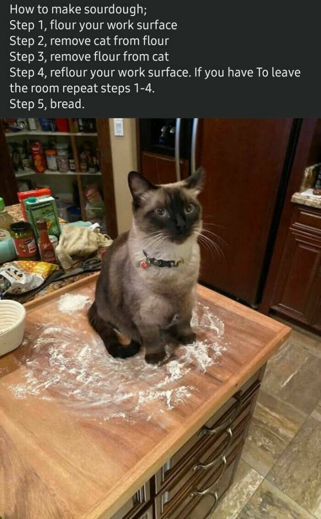 Failed Cooking (22 pics)