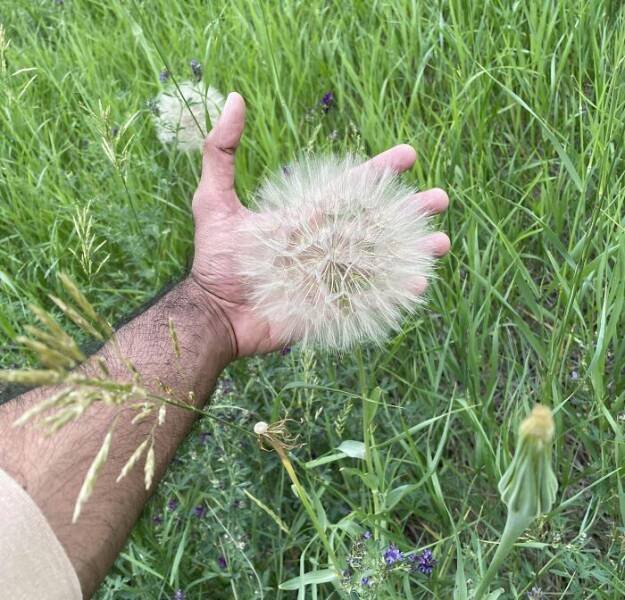 Impressive Finds (24 pics)
