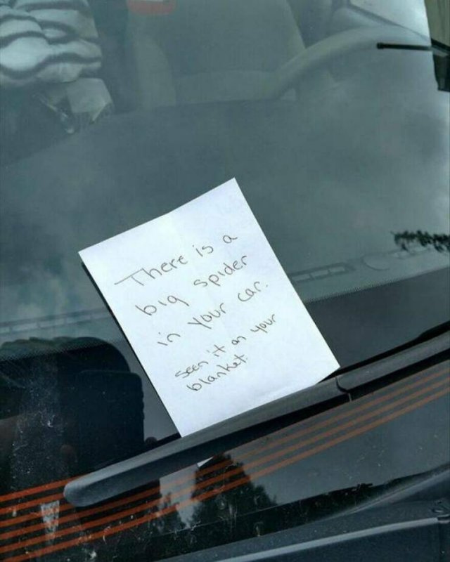 Heartwarming Moments (24 pics)