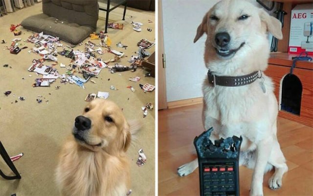 Heartwarming Moments (24 pics)