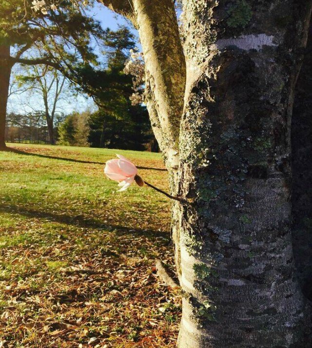 Impressive Finds (24 pics)