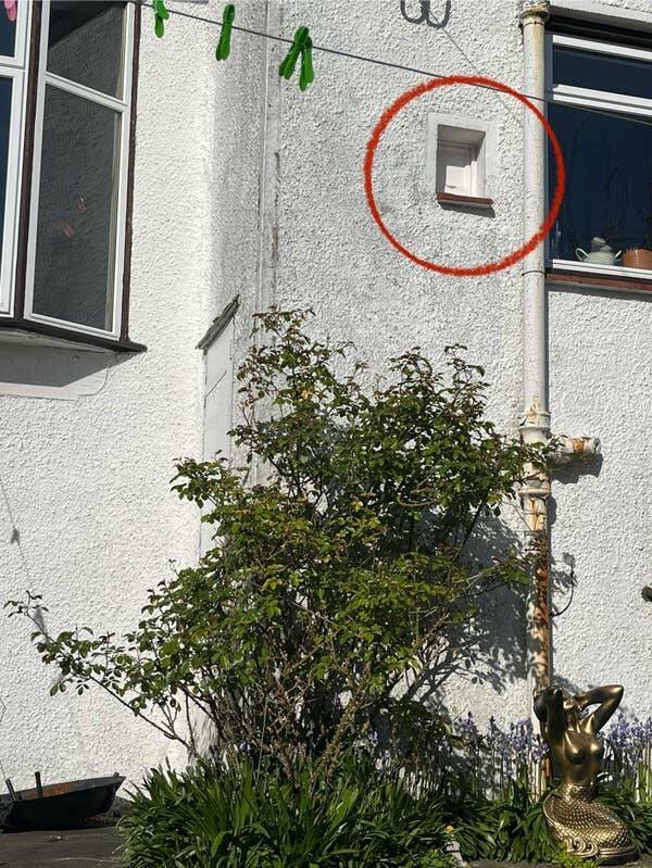 What Are These Things? (27 pics)
