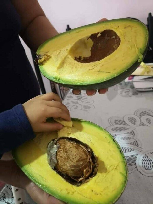 Impressive Finds (24 pics)